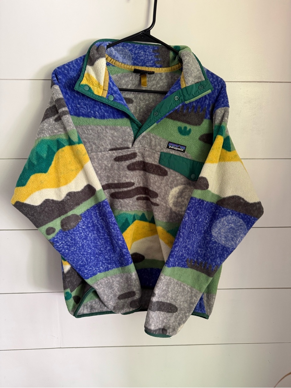 Patagonia Hi Country Fleece